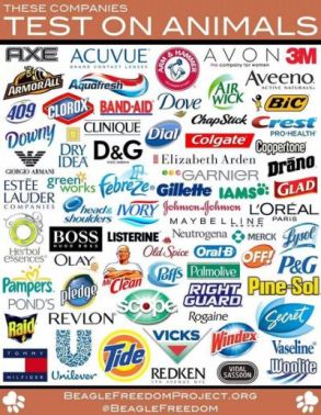 brands-that-test-on-animals.jpg.cf